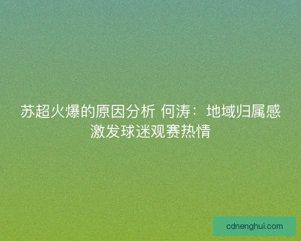 苏超火爆的原因分析 何涛：地域归属感激发球迷观赛热情